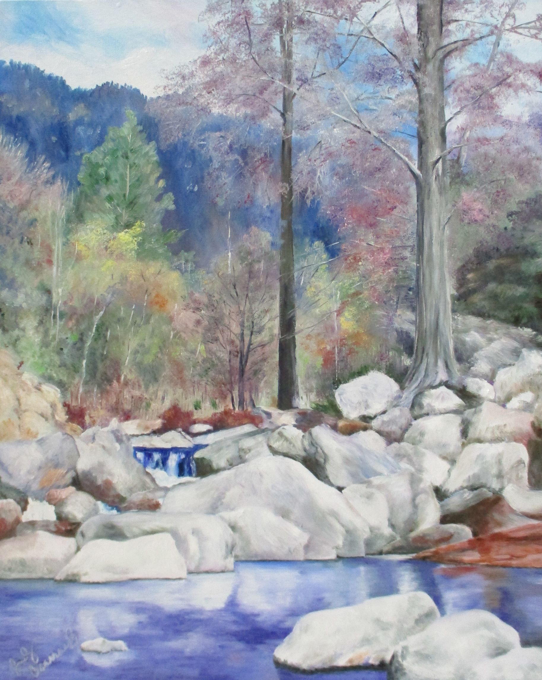 ##304 1500304 Oak Tree Canyon Az #7 30 x 24